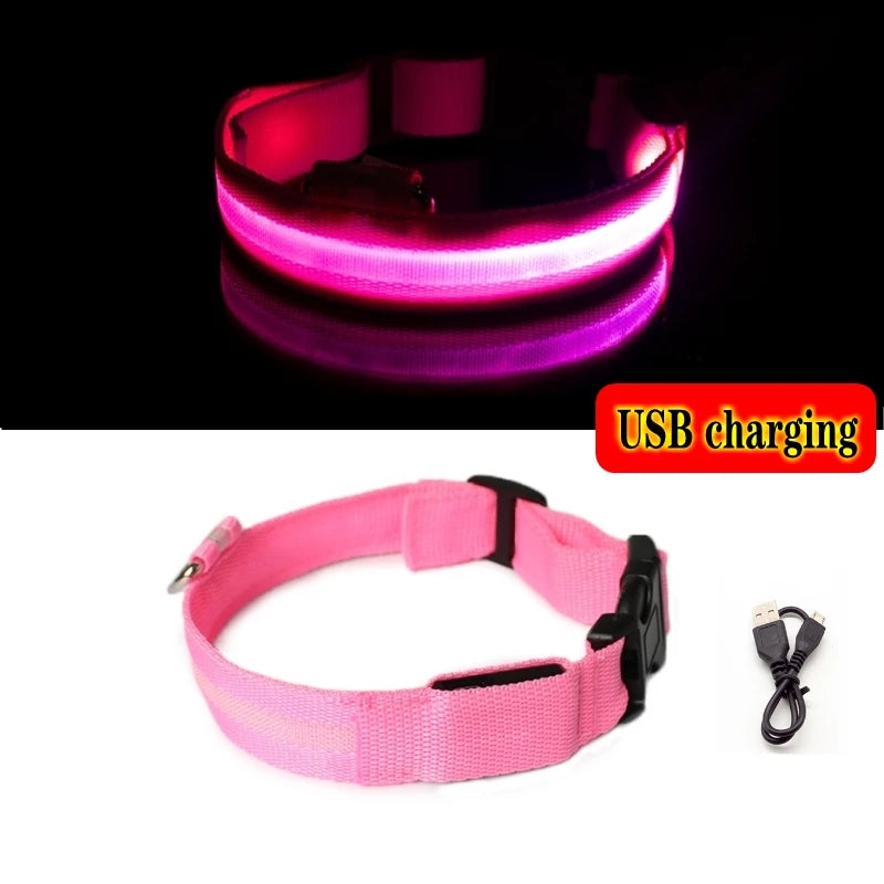 LED Night-Safe Collar