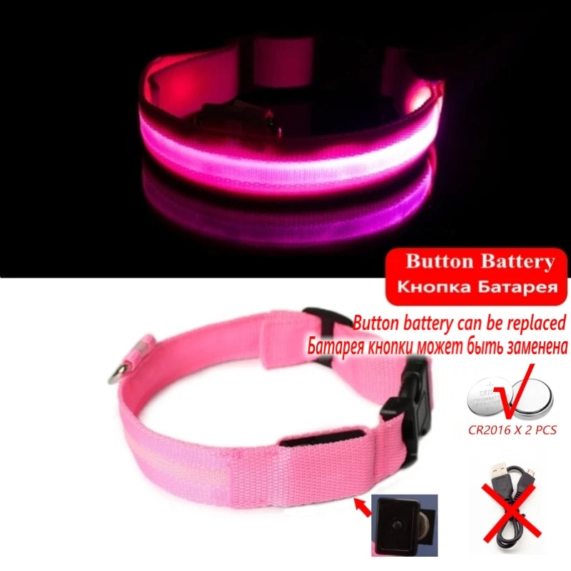 LED Night-Safe Collar