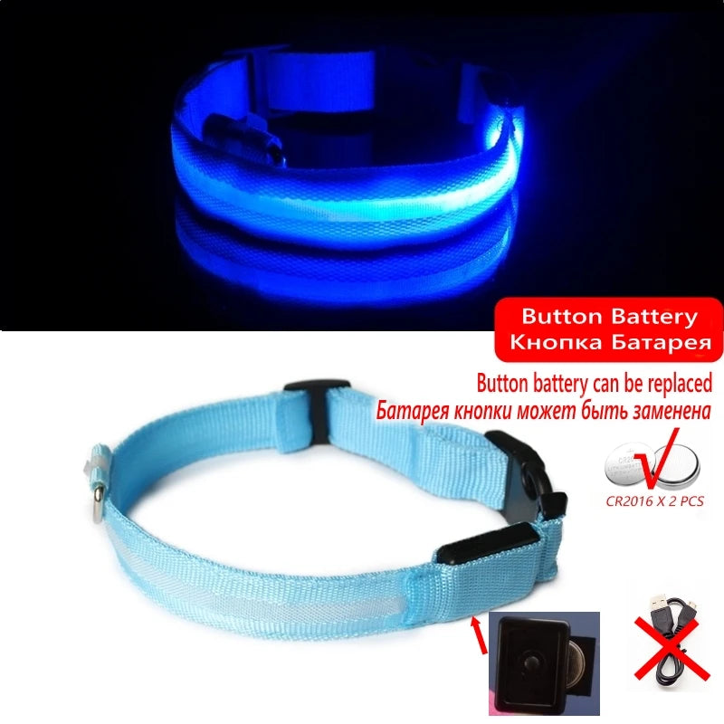 LED Night-Safe Collar