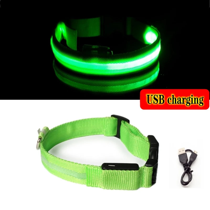 LED Night-Safe Collar