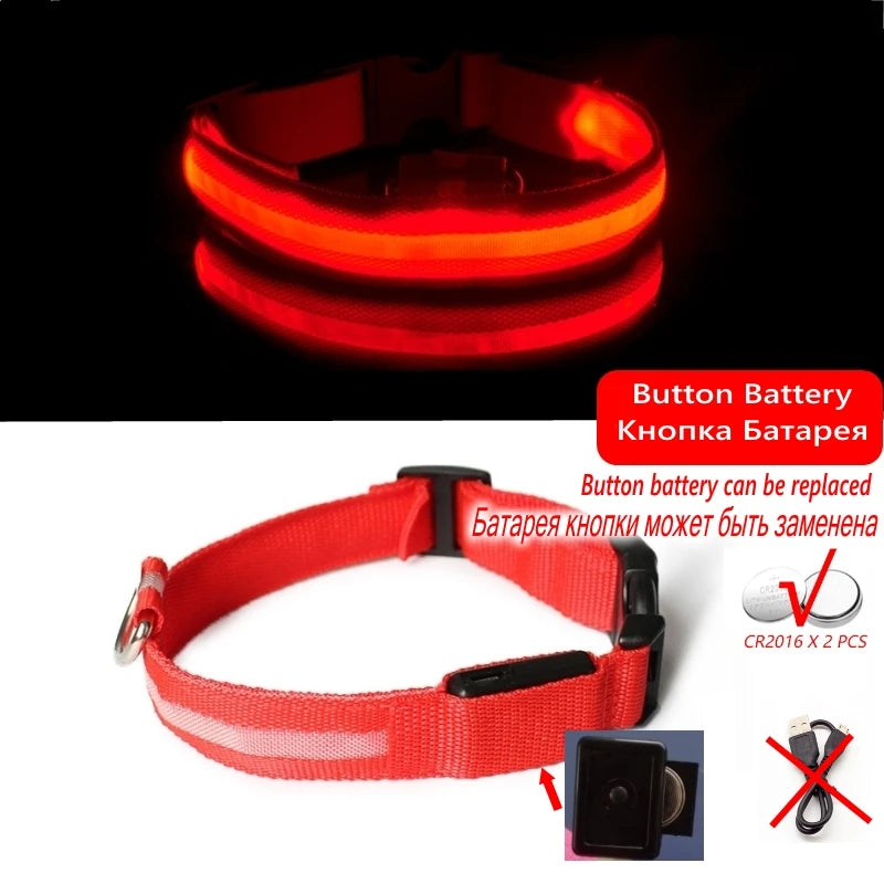 LED Night-Safe Collar